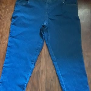 Ladies size 22 petite Jean's bundle